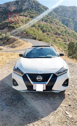 2023 نيسان ماكسيما