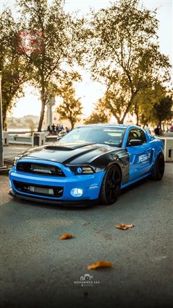 Ford Mustang 2014