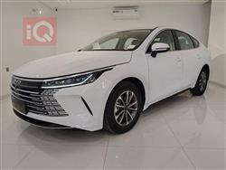 2025 بي واي دي ديستروير 05