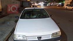 Peugeot Roa 2010 Peugeot Roa 2010