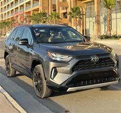 Toyota RAV4 2024
