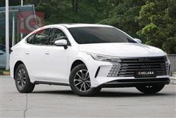 2025 بي واي دي ديستروير 05