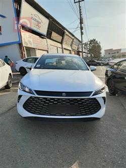 BYD Qin Plus 2025