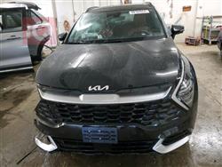 2024 كيا سبورتاج