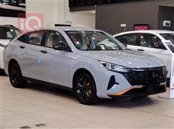 2025 دونج فينج شاين