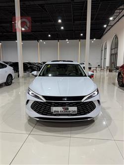 BYD QIN L DM-i 2025