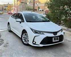 Toyota Corolla 2023