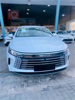 2025 بي واي دي ديستروير 05