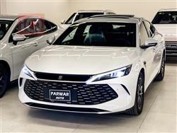 BYD QIN L DM-i 2025