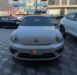 2019 فولكسفاغن بيتل