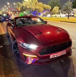 2019 فورد موستانج