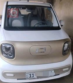 2025 بيستون بوني