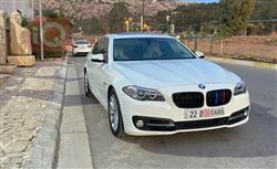 2014 بي ام دبليو الفئة 5