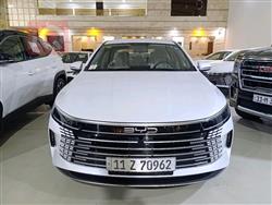 2025 بي واي دي ديستروير 05