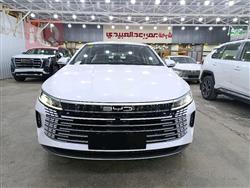 2025 بي واي دي ديستروير 05