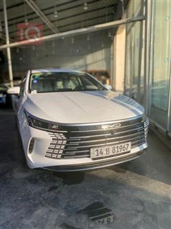 2025 بي واي دي ديستروير 05