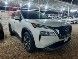 2023 نيسان روج