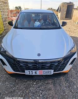 2025 دونج فينج شاين