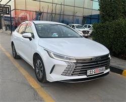 2025 بي واي دي ديستروير 05