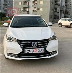 2025 شانجان السفن