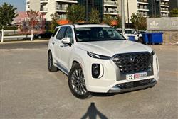 Hyundai Palisade 2020