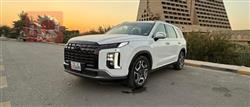 Hyundai Palisade 2024