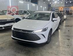 2025 بي واي دي ديستروير 05