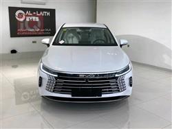 2025 بي واي دي ديستروير 05