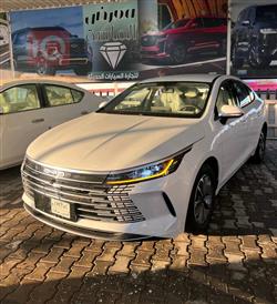 BYD Destroyer 05 2025