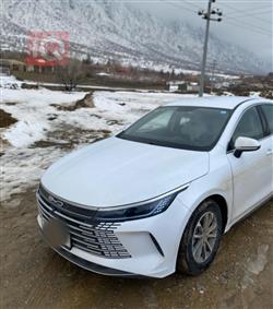 BYD Destroyer 05 2025