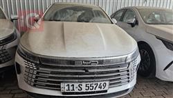 BYD Destroyer 05 2025