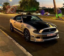 Ford Mustang 2013