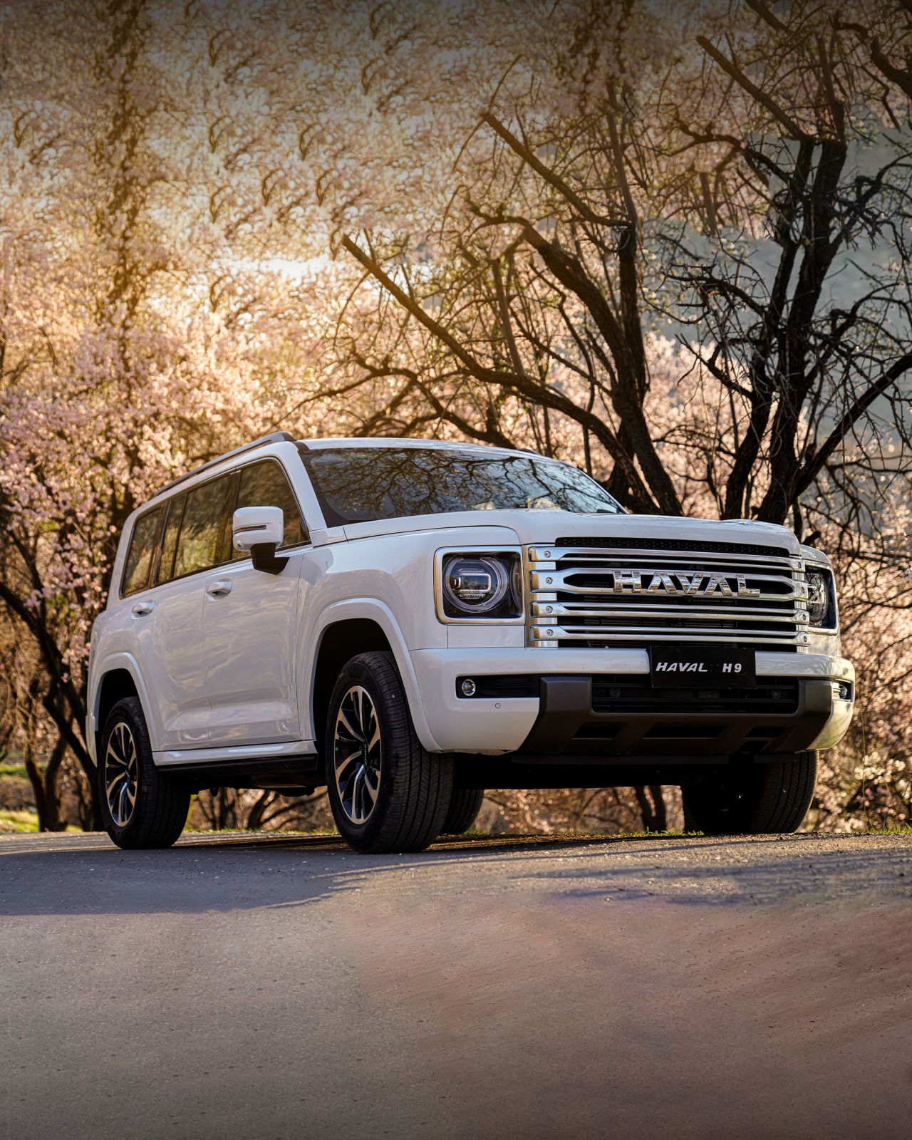 Nahj Al-Iraq Launches New Car Financing Program