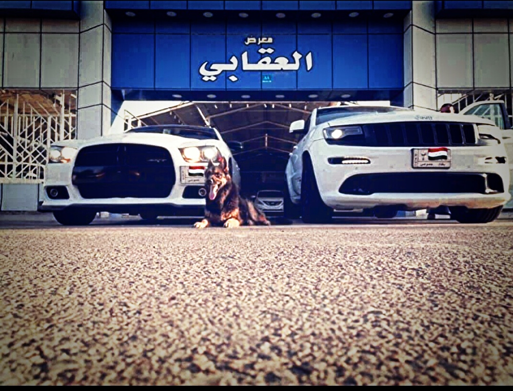 معرض العقابي