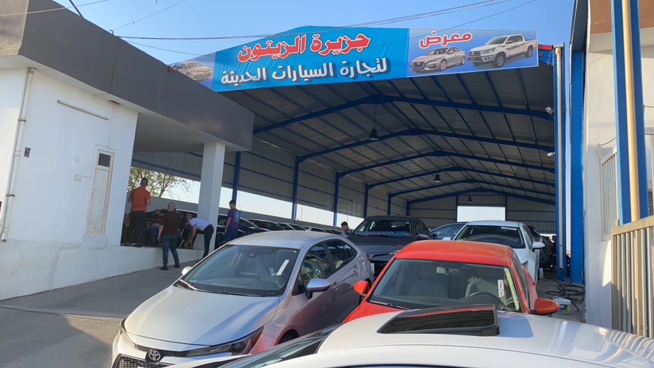 جزيرة الزيتون