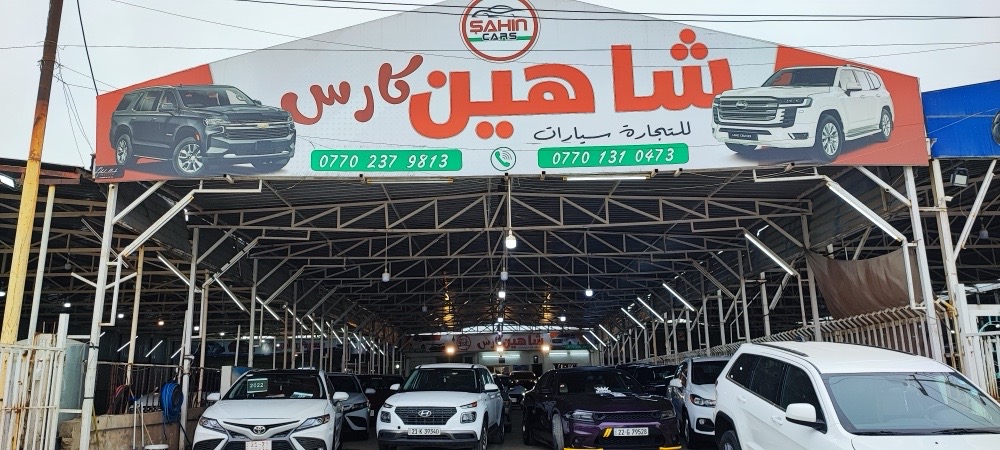 شاهين كارس
